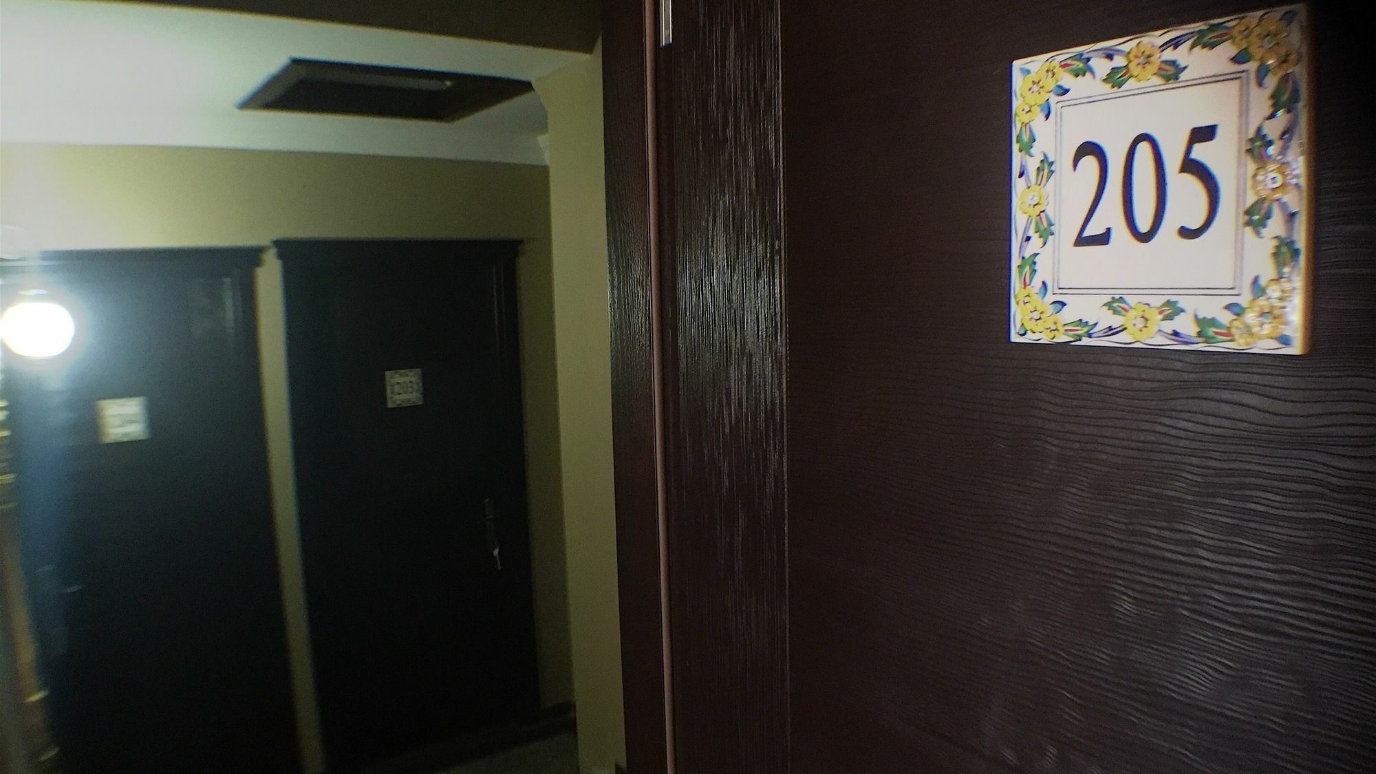 Hayriye Hanim Ege Ayvalı Exterior foto